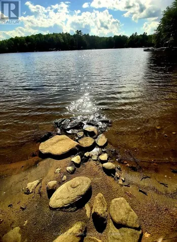 0 Fire Route 267 Trent Lakes ON K0L 1J0