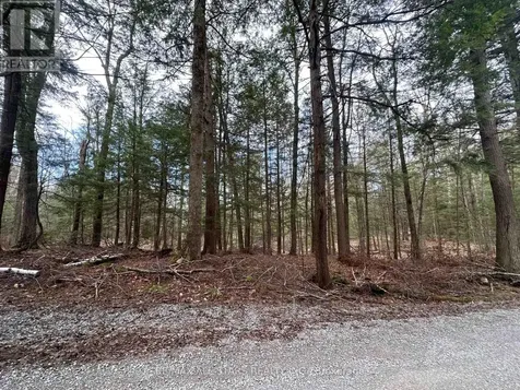 0 Fire Route 267 Trent Lakes ON K0L 1J0