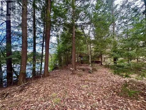 0 Fire Route 267 Trent Lakes ON K0L 1J0