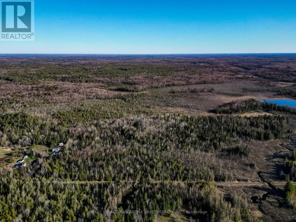 Lt 4 Dutch Line Road West Trent Lakes ON K0M 2A0