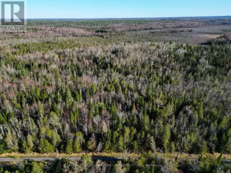 Lt 4 Dutch Line Road West Trent Lakes ON K0M 2A0