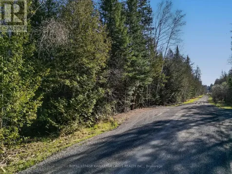 Lt 4 Dutch Line Road West Trent Lakes ON K0M 2A0