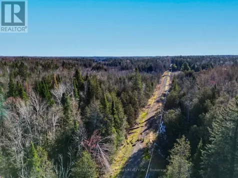 Lt 4 Dutch Line Road West Trent Lakes ON K0M 2A0