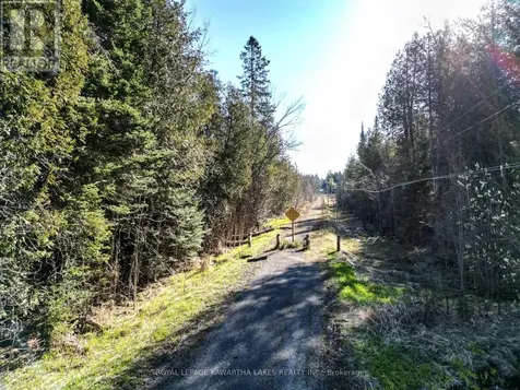 Lt 4 Dutch Line Road West Trent Lakes ON K0M 2A0