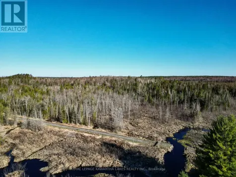 Lt 4 Dutch Line Road West Trent Lakes ON K0M 2A0