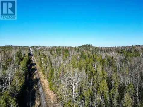 Lt 4 Dutch Line Road West Trent Lakes ON K0M 2A0