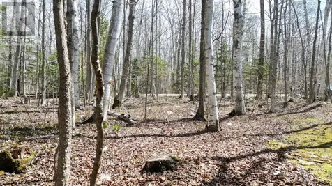 294 Tammy's Cove Road Northern Bruce Peninsula ON N0H 1W0