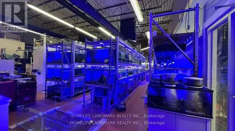 888 Dundas Street East Mississauga (dixie) ON L4Y 4G6