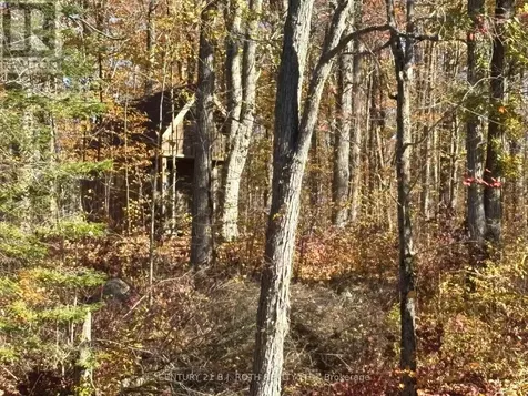1007 Mount Stephen Road Northeast Severn ON L0K 1E0