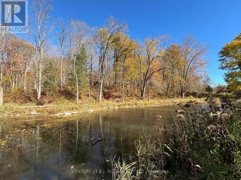 1007 Mount Stephen Road Northeast Severn ON L0K 1E0