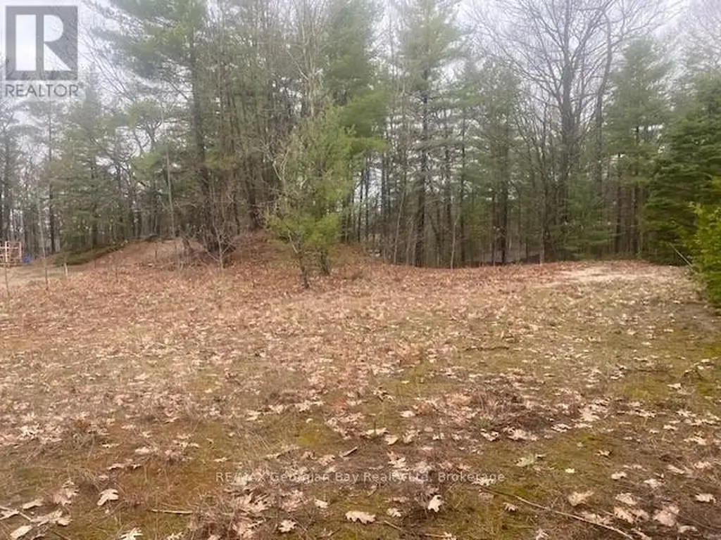 Lot 514 Tall Pines Drive Tiny ON L9M 0H7