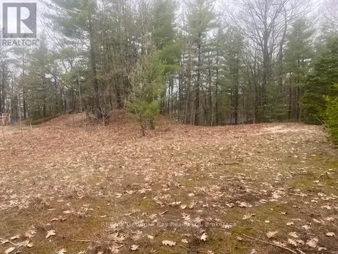 Lot 514 Tall Pines Drive Tiny ON L9M 0H7
