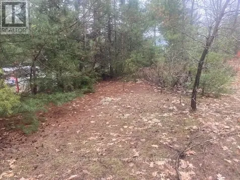 Lot 514 Tall Pines Drive Tiny ON L9M 0H7