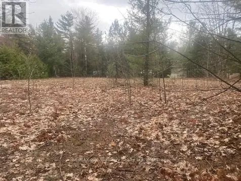 Lot 514 Tall Pines Drive Tiny ON L9M 0H7