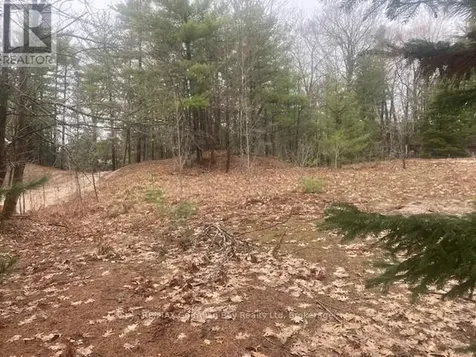 Lot 514 Tall Pines Drive Tiny ON L9M 0H7
