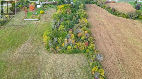 15047 County Road 2 Road Brighton ON K0K 1H0