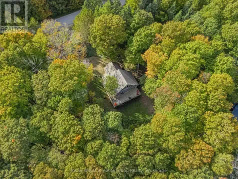 219 Bowles Bluff Road Grey Highlands ON L0C 1H0