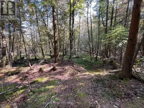 Lot 25 Champlain Road Tiny ON L9M 0C3