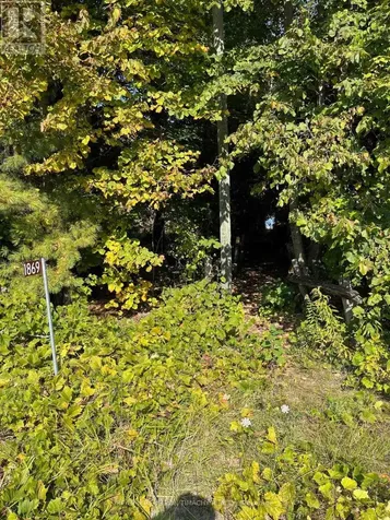 Lot 25 Champlain Road Tiny ON L9M 0C3