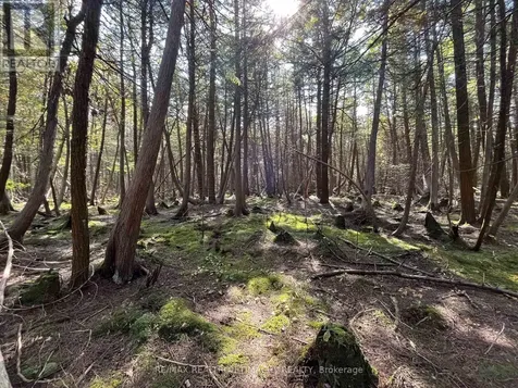 Lot 25 Champlain Road Tiny ON L9M 0C3