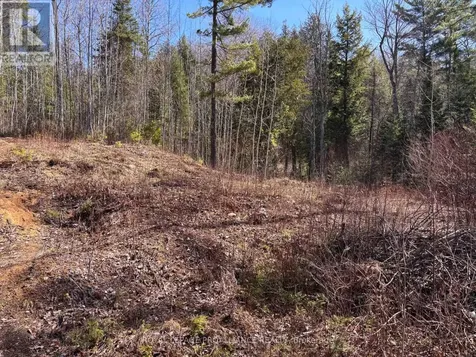 77 Campbells Lake Lane Madawaska Valley ON K0J 1B0