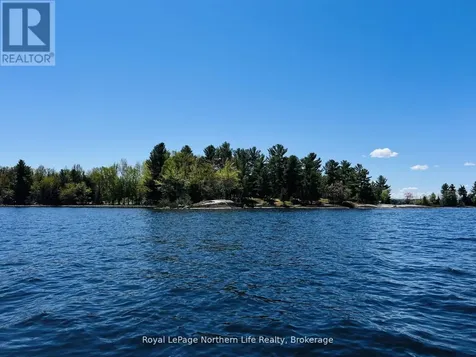 Lot 1 Smith Island Callander ON P0H 1H0