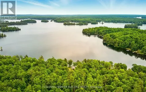 199 Fire Route 87 Havelock-belmont-methuen ON K0L 1A0