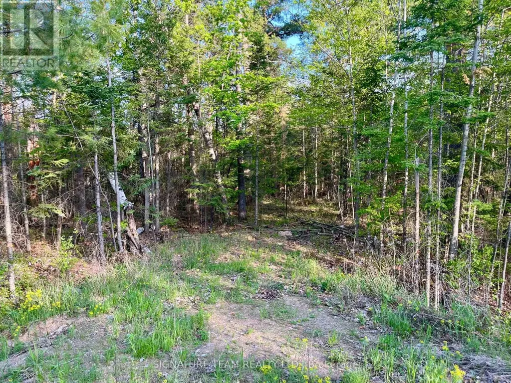 0 Foymount Road Bonnechere Valley ON K0J 1T0