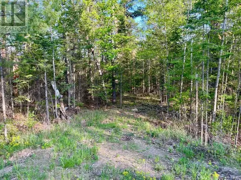 0 Foymount Road Bonnechere Valley ON K0J 1T0