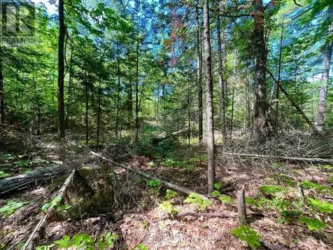 0 Foymount Road Bonnechere Valley ON K0J 1T0