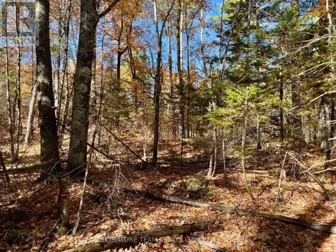 0 Foymount Road Bonnechere Valley ON K0J 1T0