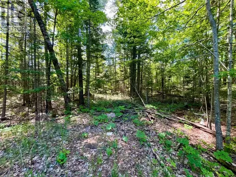 0 Foymount Road Bonnechere Valley ON K0J 1T0