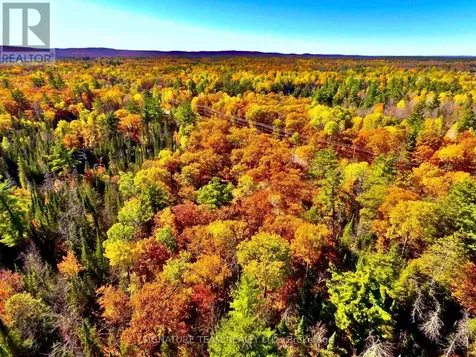 0 Foymount Road Bonnechere Valley ON K0J 1T0
