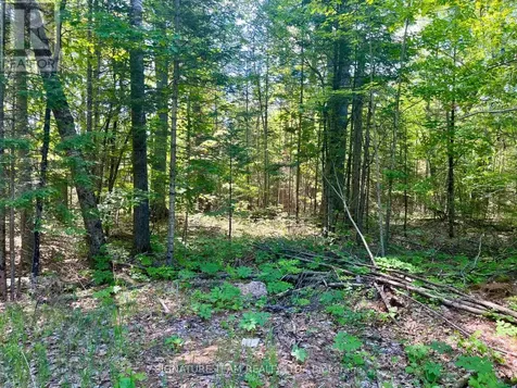 0 Foymount Road Bonnechere Valley ON K0J 1T0