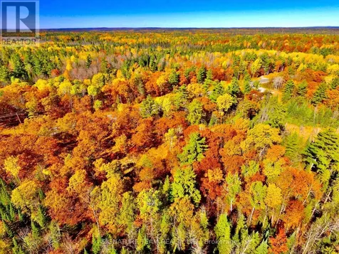 0 Foymount Road Bonnechere Valley ON K0J 1T0