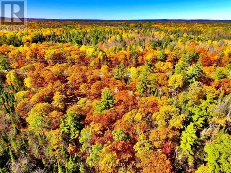 0 Foymount Road Bonnechere Valley ON K0J 1T0