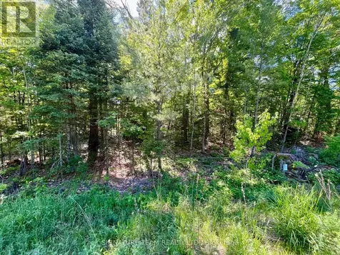 0 Foymount Road Bonnechere Valley ON K0J 1T0