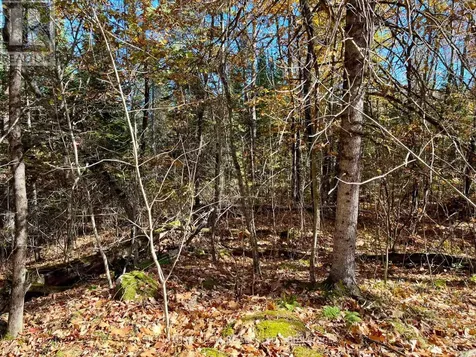 0 Foymount Road Bonnechere Valley ON K0J 1T0