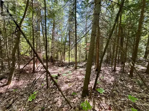 0 Foymount Road Bonnechere Valley ON K0J 1T0
