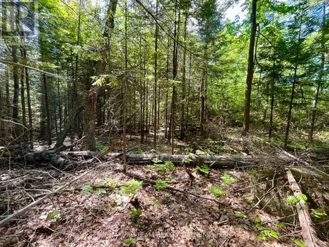 0 Foymount Road Bonnechere Valley ON K0J 1T0