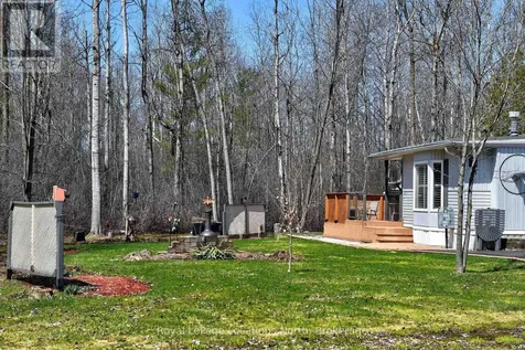 18 Prince Charles Avenue Springwater ON L0L 1P0