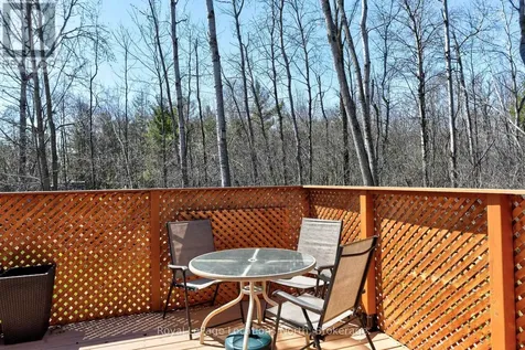 18 Prince Charles Avenue Springwater ON L0L 1P0