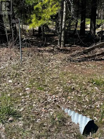 Lot 7 Champlain Road Tiny ON L9M 0B6