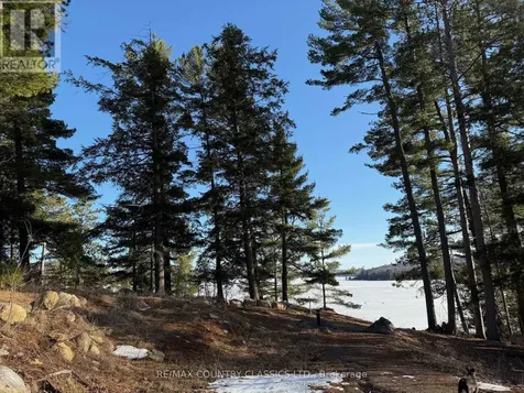 272 Mask Island Drive South Madawaska Valley ON K0J 1B0