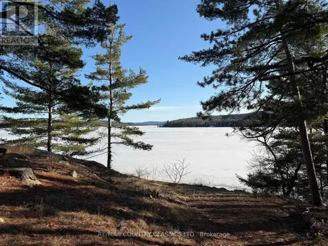 272 Mask Island Drive South Madawaska Valley ON K0J 1B0