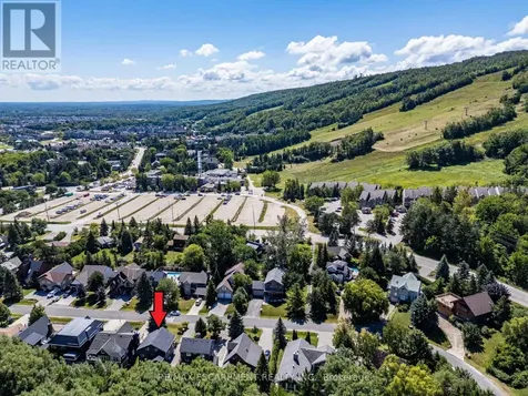 115 Pioneer Lane Blue Mountains ON L9Y 0M6