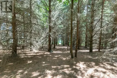 839 County Road 64 Brighton ON K0K 1H0