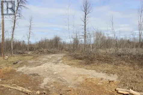 360 River Road Rainy River ON P0W 1L0