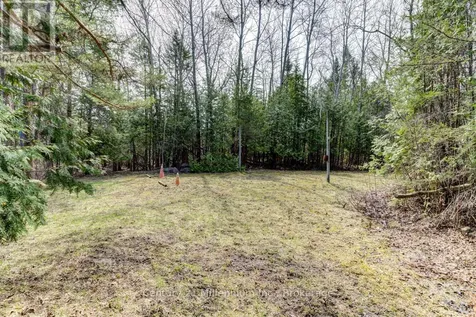 9405 Beachwood Road Highway Collingwood ON L9Y 3Z1