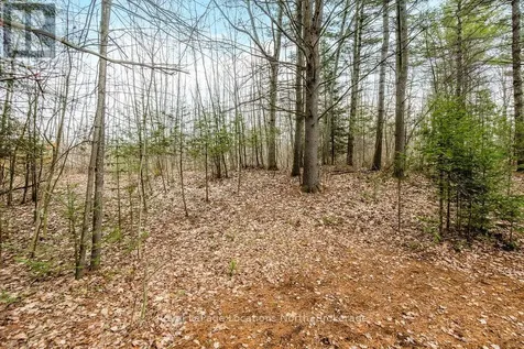 119 Earl Street Wasaga Beach ON L9Z 2P5